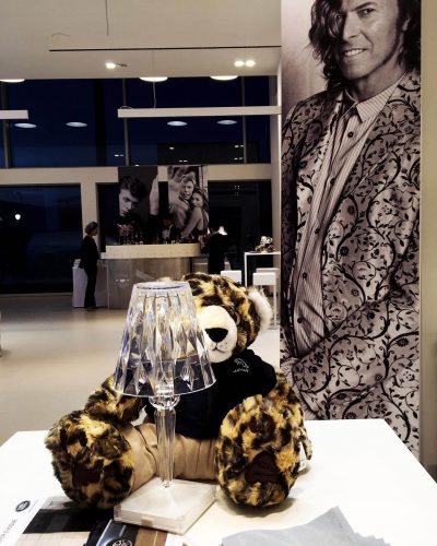 Reaveal Evoque e Jaguar-1096 Reaveal Evoque e Jaguar-1096